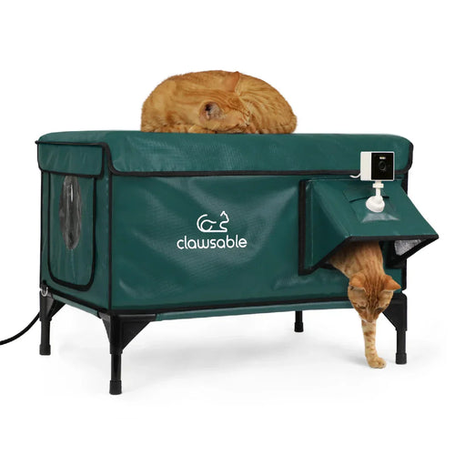 2025 Tall Classic Box Heated Cat House With Camera – Large